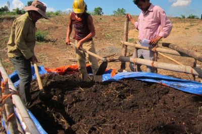 5 cách ủ phân gà nhanh hoai mục đơn giản, giàu dinh dưỡng