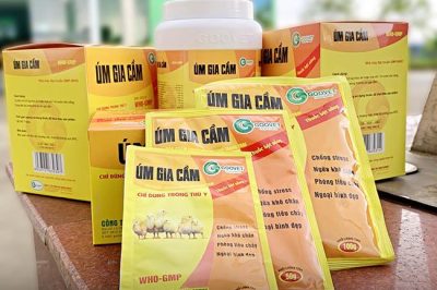 5 loại thuốc thú y cho gà thường được sử dụng nhất