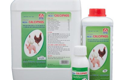 Cách làm cho gà mái nhanh đẻ, trứng to, đạt đỉnh