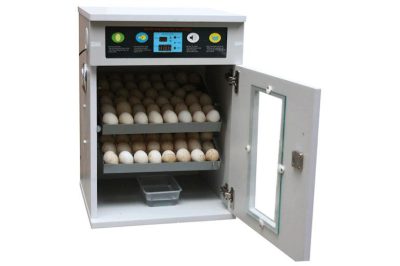 Máy ấp trứng gia cầm là gì? Nguyên lý hoạt động như thế nào?