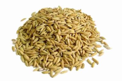 Cho Gà Ăn Gì Mau Sung – 4 Loại Thức Ăn Cho Chiến Kê Hăng Máu