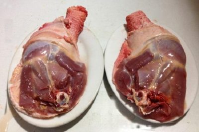 Tìm Hiểu Về Giống Gà Đông Tảo