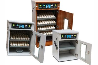 &nbsp Máy ấp trứng gia cầm &nbsp