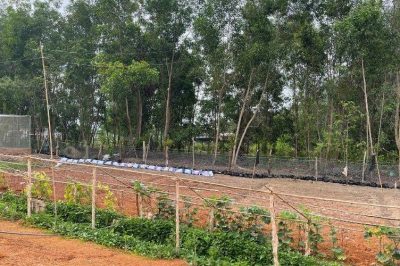 Mô Hình VAC Cho Đất Nông Nghiệp Diện Tích Nhỏ – Vườn Quê Việt