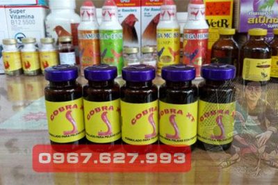 Thuốc chữa bệnh gà chọi hiệu quả 99% – Shopgachoi.com