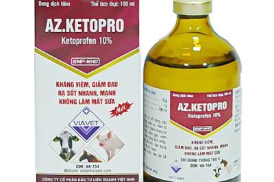 Các loại thuốc thú ý hạ sốt tốt nhất được sử dụng nhiều hiện nay