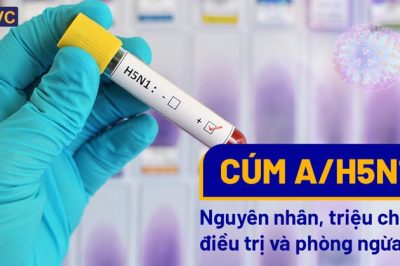 CÚM A H5N1: Nguyên nhân, triệu chứng, điều trị và cách phòng ngừa