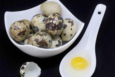 Bất ngờ với những lợi ích sức khỏe vượt trội của trứng cút