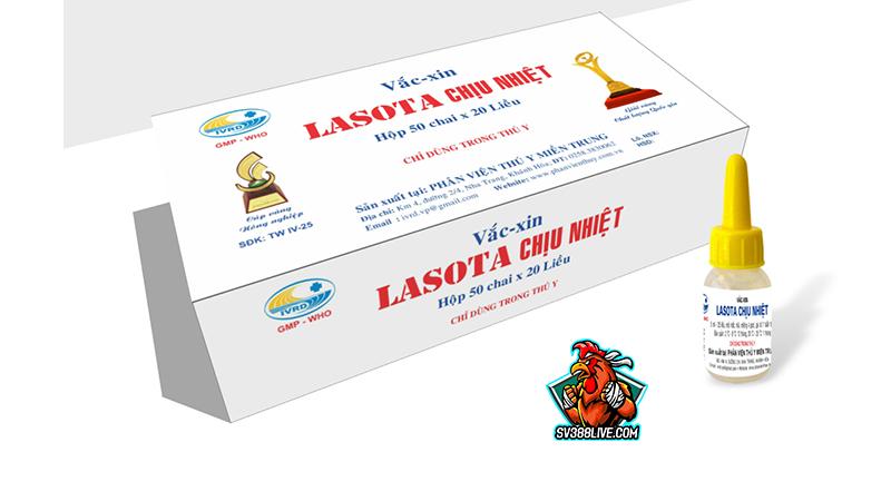 Vacxin lasota cho gà mới nhất