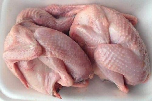 thịt chim bồ câu