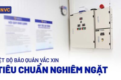 Nhiệt độ bảo quản vắc xin: 3 tiêu chuẩn nghiêm ngặt