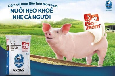 Bảng giá cám con cò. Địa chỉ bán cám con cò số lượng lớn trên cả nước