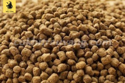Giá cám gà trên thị trường hiện nay