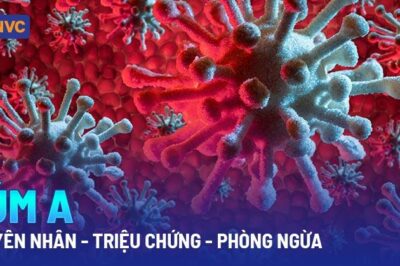 Cúm A: nguyên nhân, triệu chứng, điều trị và phòng ngừa