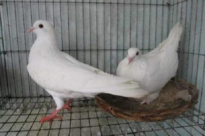 Bài viết không có tiêu đề 2011