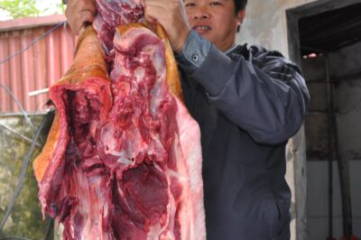 Bảng giá lợn rừng