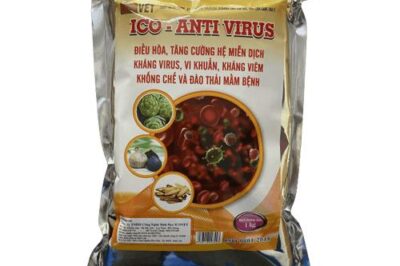 LỊCH TIÊM VACXIN CHO HEO NÁI MANG THAI