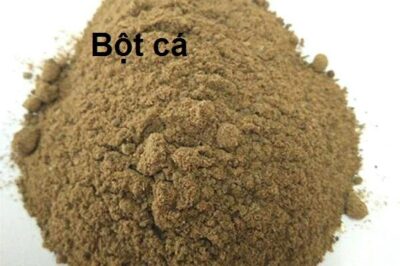 Bột cá biển 50%, 55%, 60%