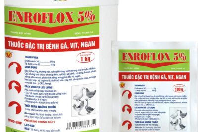 Top 5 loại Thuốc thú y cho Gà – Nơi bán uy tín nhất 2022