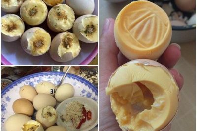 Sự thật bất ngờ về "thần dược" trứng ung gây "sốt" thị trường