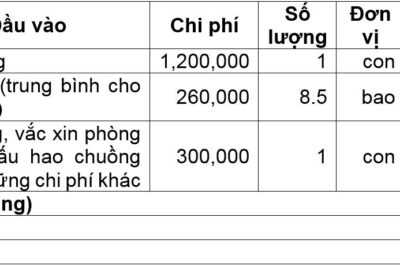 Chăn nuôi heo: Giỏi tính, lời to