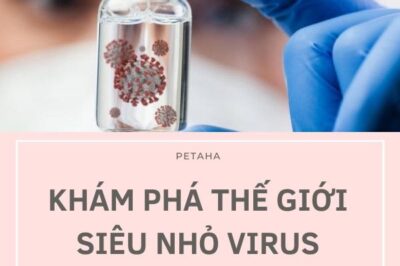 KHÁM PHÁ THẾ GIỚI SIÊU NHỎ VIRUS – VẮC XIN NHƯỢC ĐỘC, VACCINE VÔ HOẠT | BÀI 3