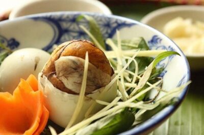 Trứng vịt lộn có nở được không??? Cách chọn mua trứng vịt lộn về ấp